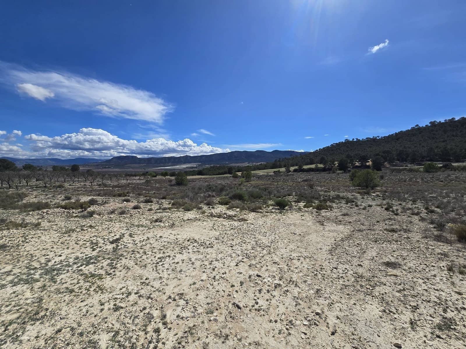 Teren niezagospodarowany na sprzedaż w Salinas - 39 995 € (Ref: 8917762)