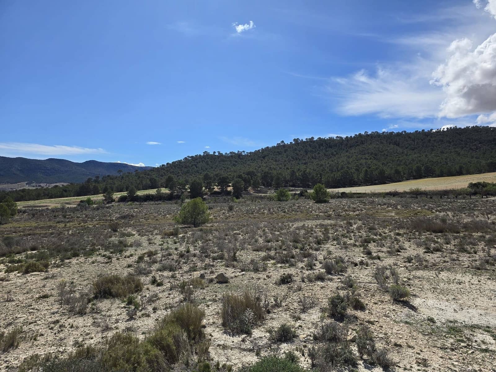 Teren niezagospodarowany na sprzedaż w Salinas - 39 995 € (Ref: 8917762)