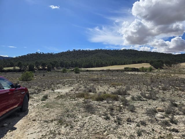 Undeveloped Land for sale in Salinas - € 39,995 (Ref: 8917762)