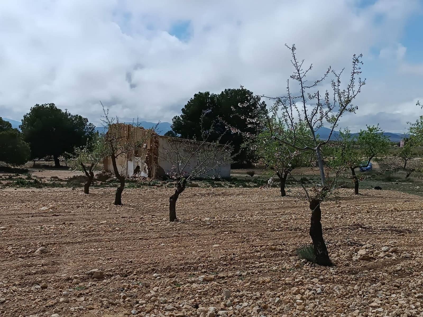 Rakentamaton maa myytävänä paikassa Yecla - 28 000 € (Ref: 8917763)