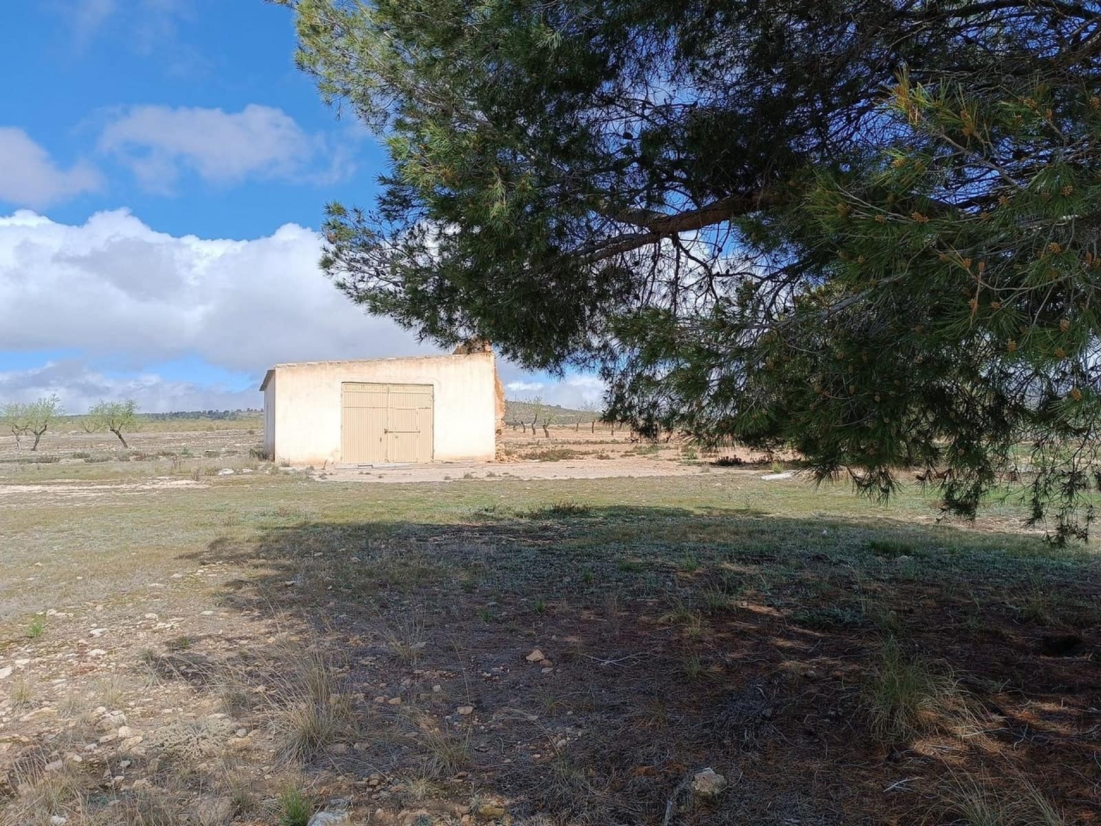 Rakentamaton maa myytävänä paikassa Yecla - 28 000 € (Ref: 8917763)