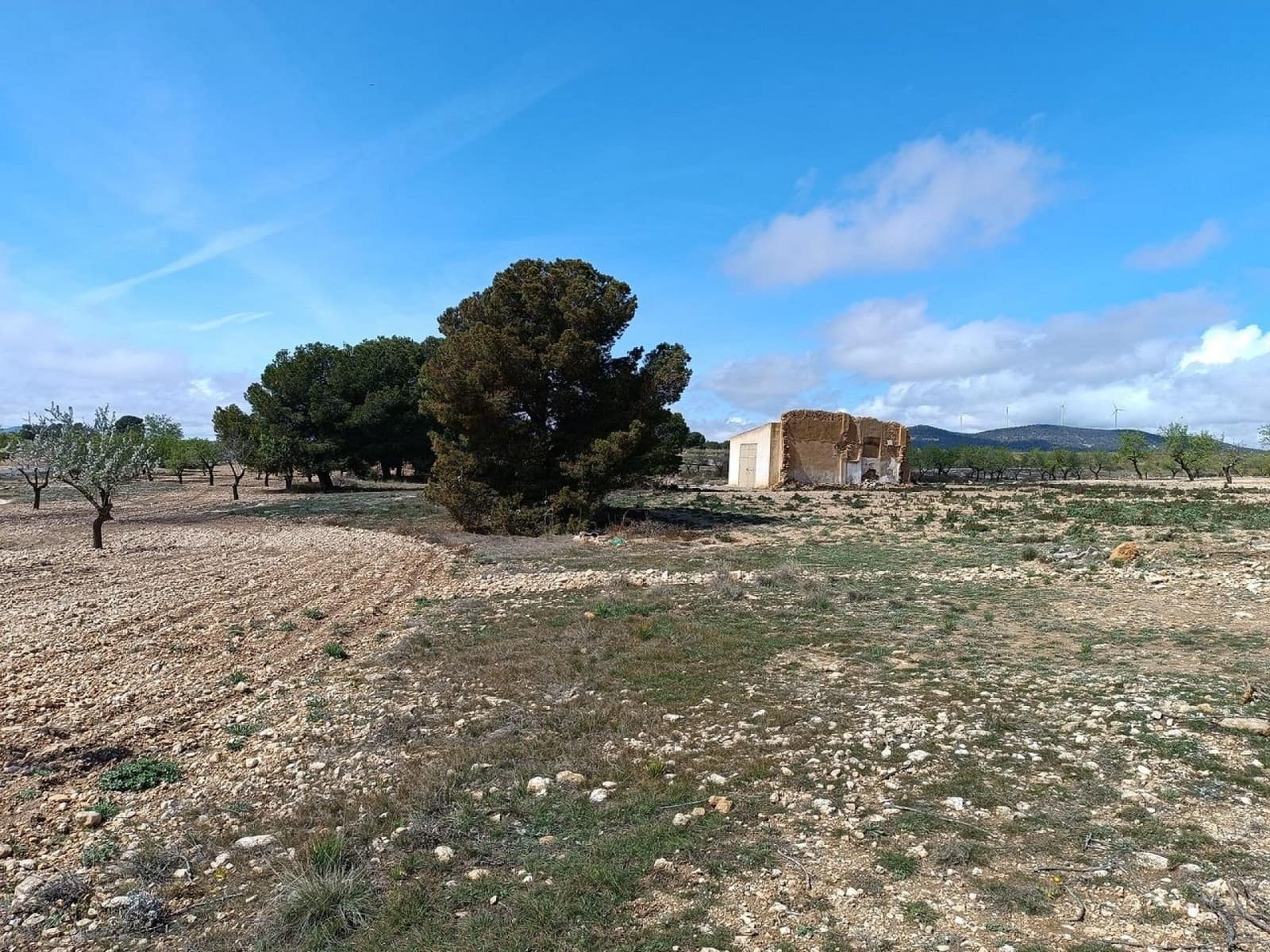 Rakentamaton maa myytävänä paikassa Yecla - 28 000 € (Ref: 8917763)