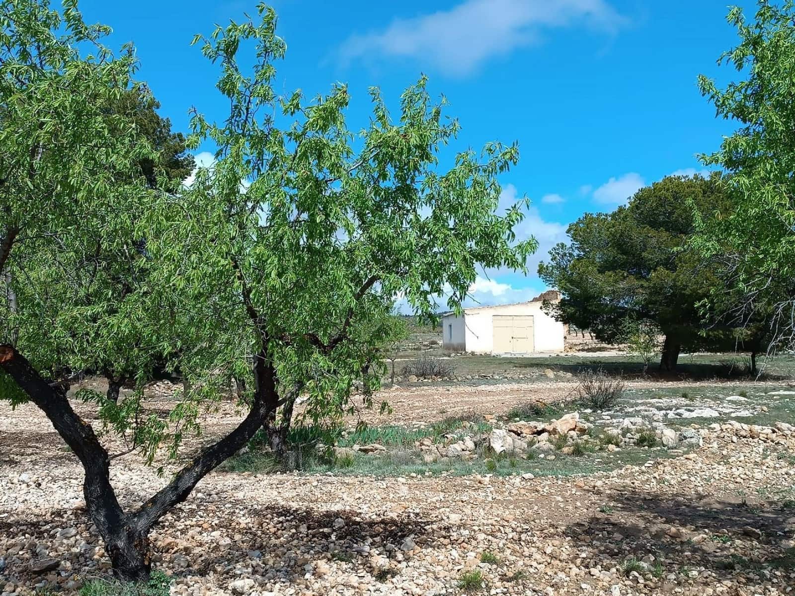 Rakentamaton maa myytävänä paikassa Yecla - 28 000 € (Ref: 8917763)