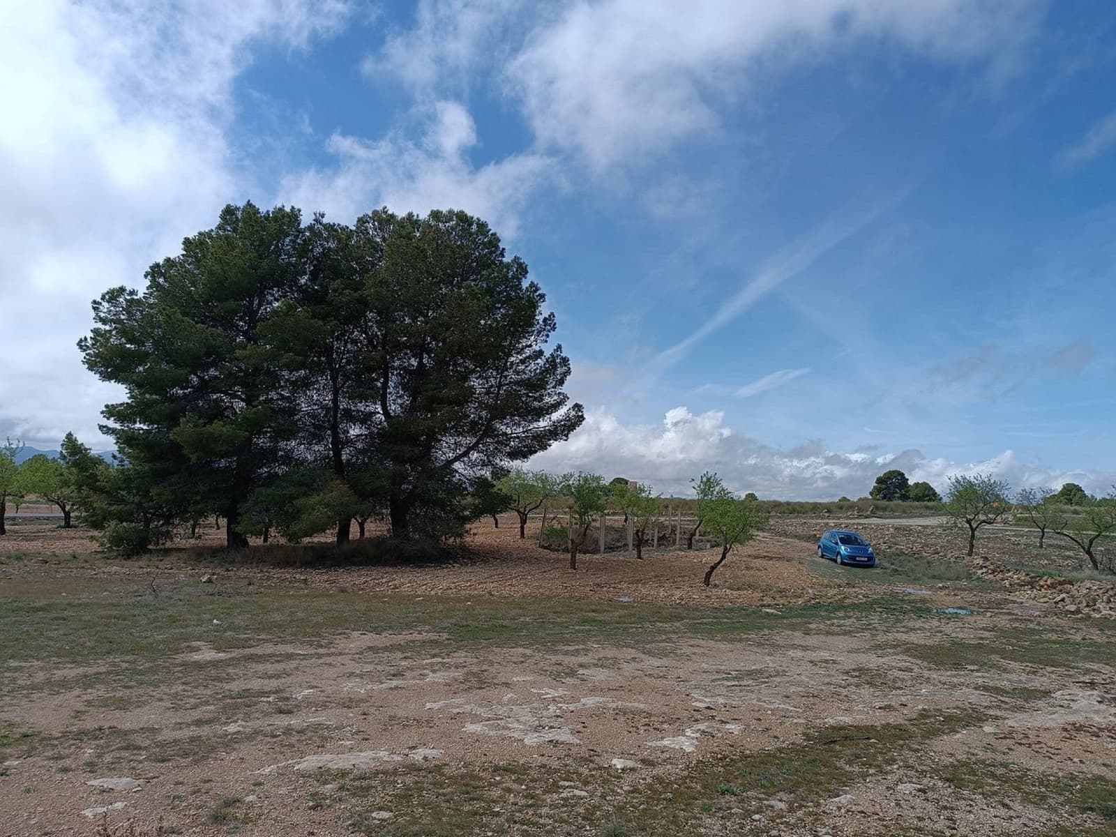 Rakentamaton maa myytävänä paikassa Yecla - 28 000 € (Ref: 8917763)