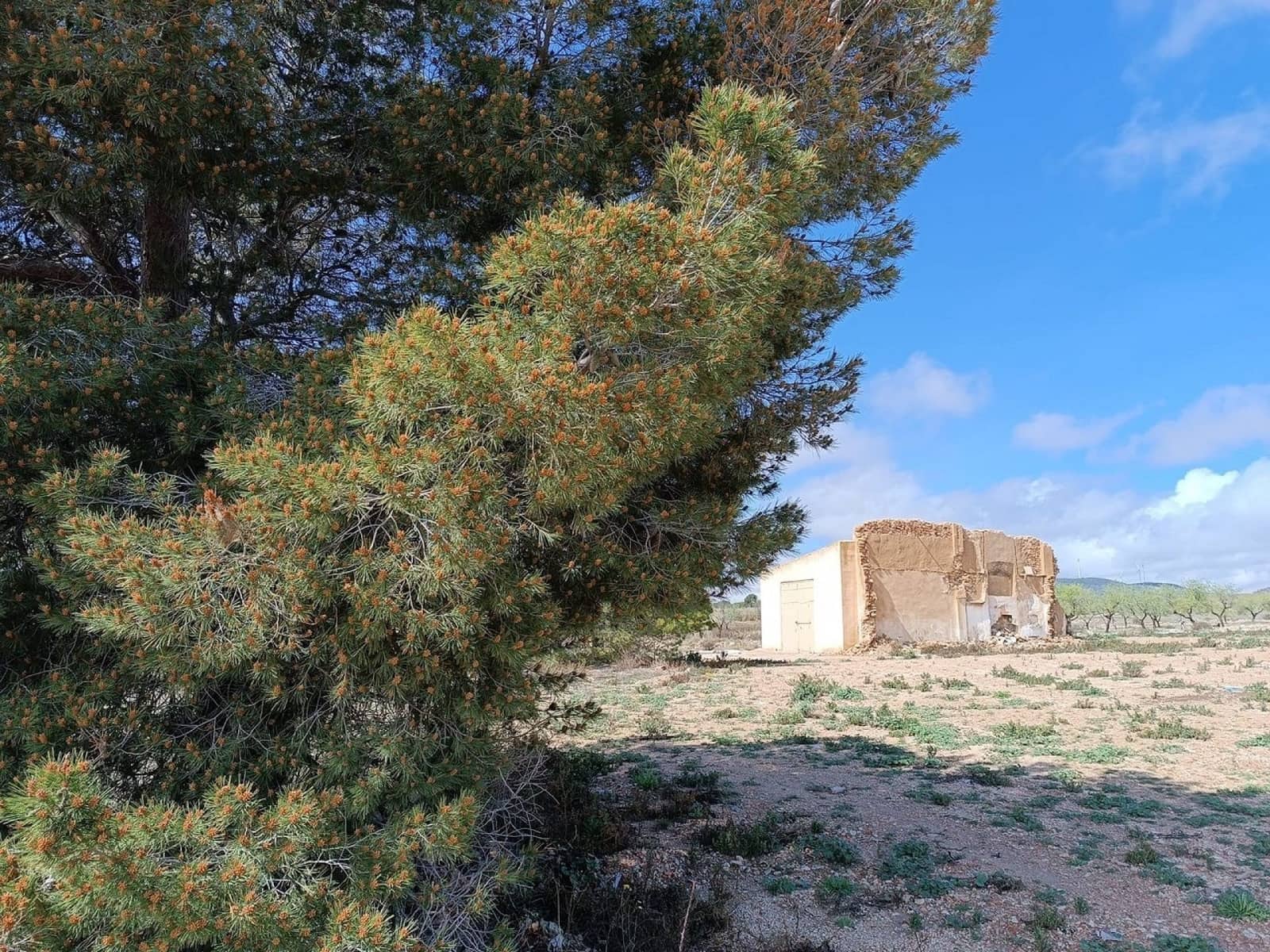 Rakentamaton maa myytävänä paikassa Yecla - 28 000 € (Ref: 8917763)