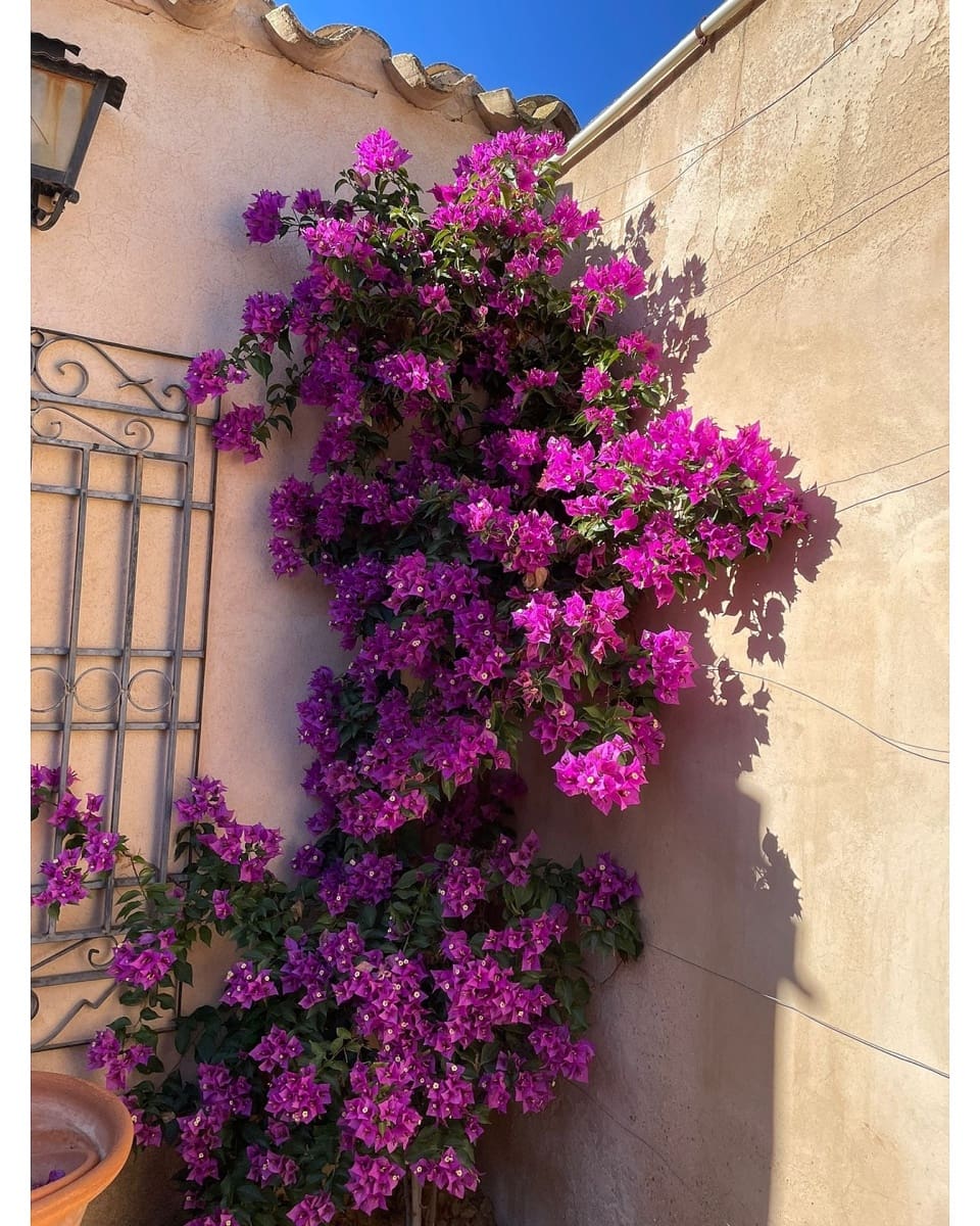 5 soverom Finca/Herregård til salgs i Raspay med svømmebasseng garasje - € 379 995 (Ref: 8927597)