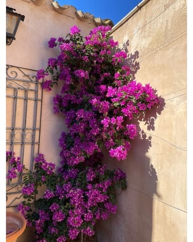 5 camera da letto Finca/Casa di Campagna in vendita in Raspay, Yecla con piscina garage - 379.995 € (Rif: 8927597)