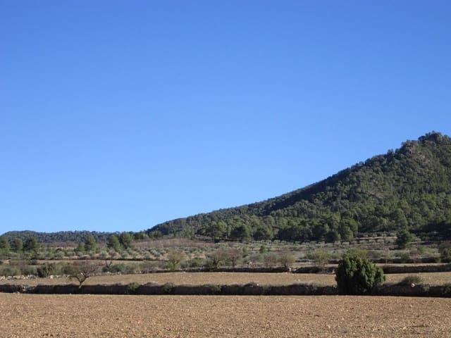 Grond te koop in Yecla - € 24.000 (Ref: 8952509)