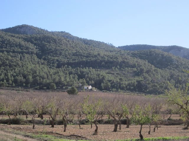 Grond te koop in Yecla - € 24.000 (Ref: 8952509)