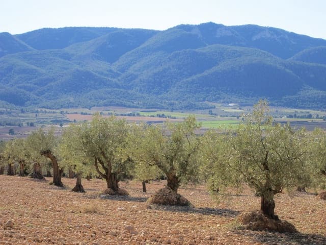 Mark till salu i Yecla - 10 000 € (Ref: 8952510)