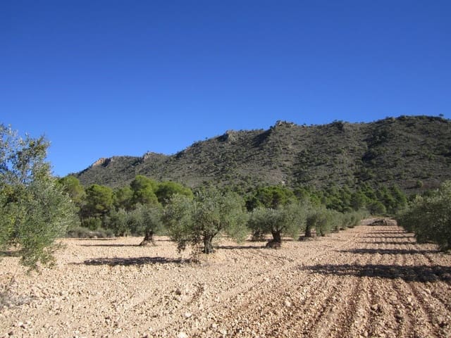 Mark till salu i Yecla - 10 000 € (Ref: 8952510)