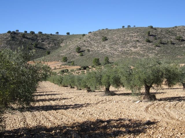 Mark till salu i Yecla - 10 000 € (Ref: 8952510)