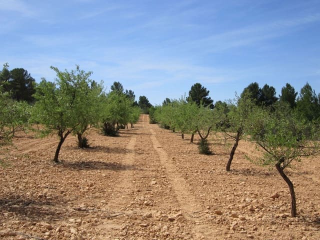 Mark till salu i Yecla - 14 000 € (Ref: 8952512)