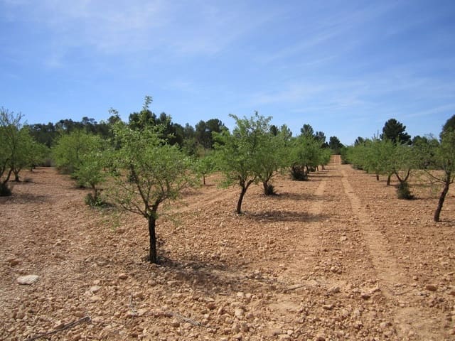 Mark till salu i Yecla - 14 000 € (Ref: 8952512)