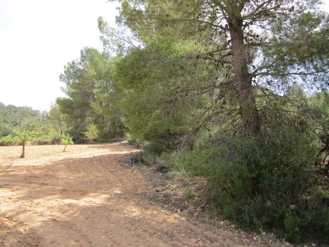 Mark till salu i Yecla - 14 000 € (Ref: 8952512)