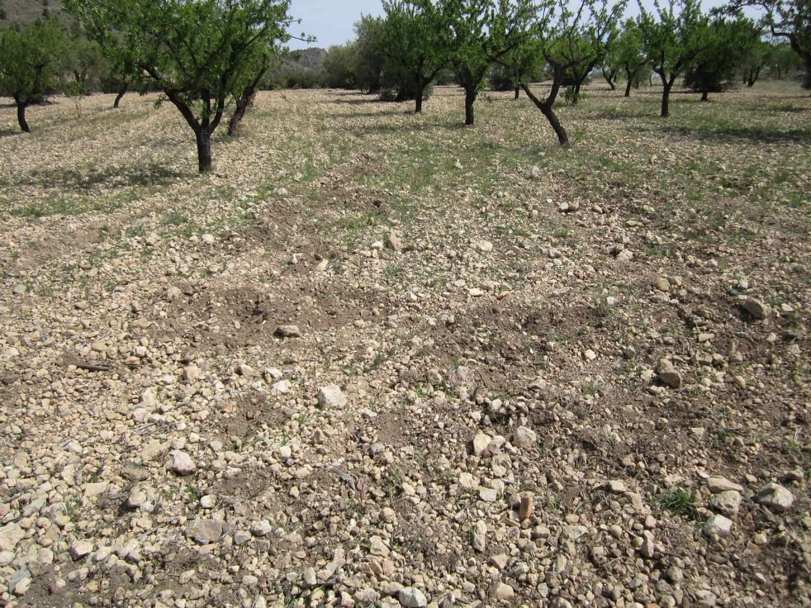 Ubebygd land til salgs i Yecla - € 15 000 (Ref: 8952514)