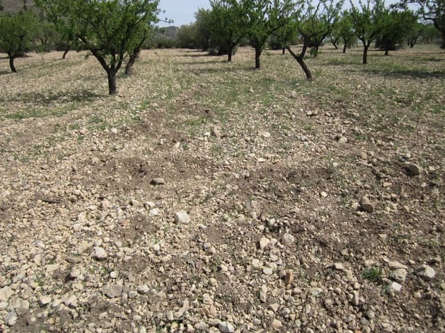 Mark till salu i Yecla - 15 000 € (Ref: 8952514)