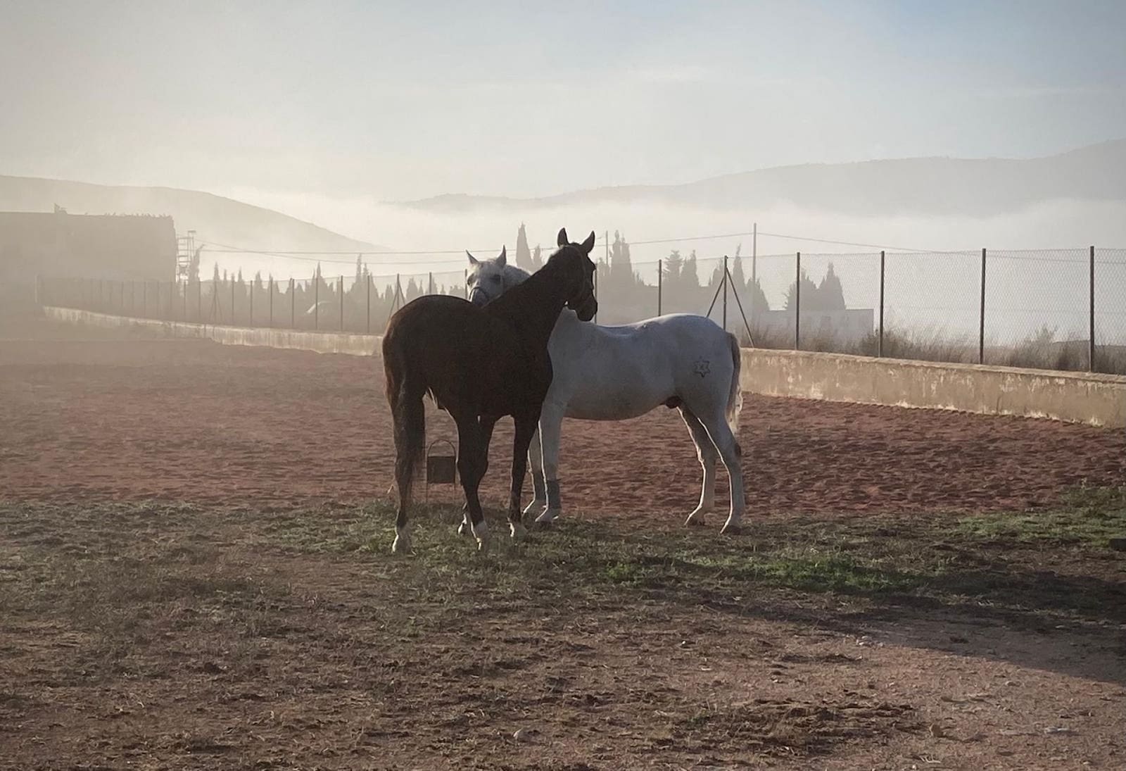 3 soveværelse Villa til salg i Torre del Rico - € 510.000 (Ref: 8956929)