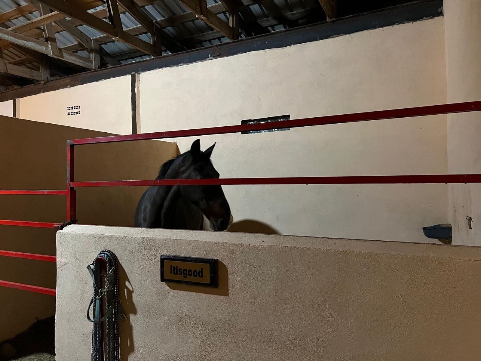 3 soveværelse Villa til salg i Torre del Rico - € 510.000 (Ref: 8956929)