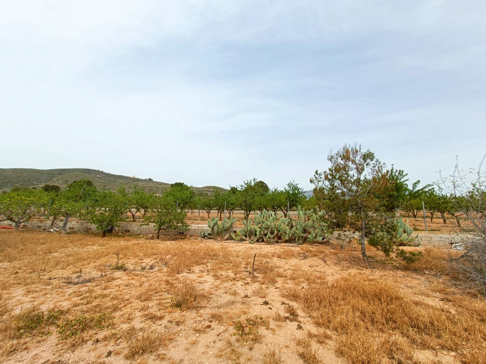 4 quarto Moradia para venda em Hondon de los Frailes - 180 000 € (Ref: 8972149)