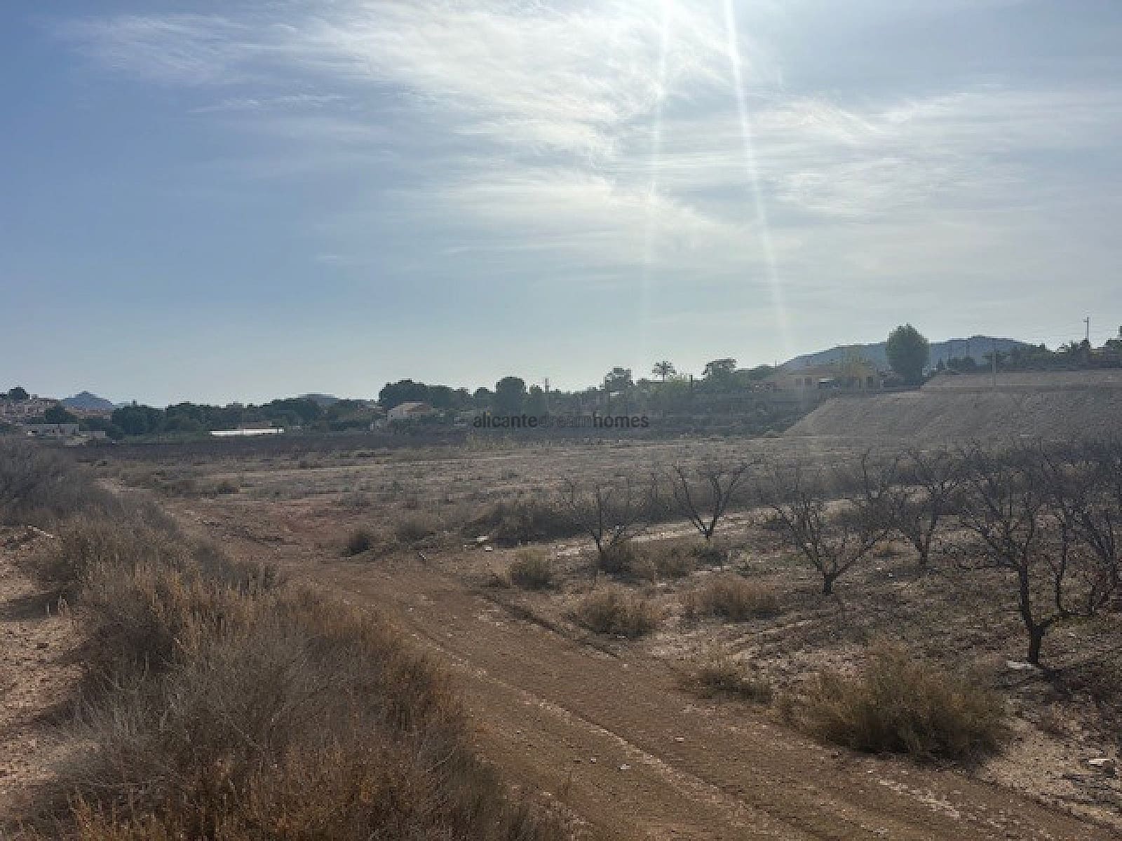 Terreno Não Urbanizado para venda em Monovar / Monover - 49 000 € (Ref: 8982843)