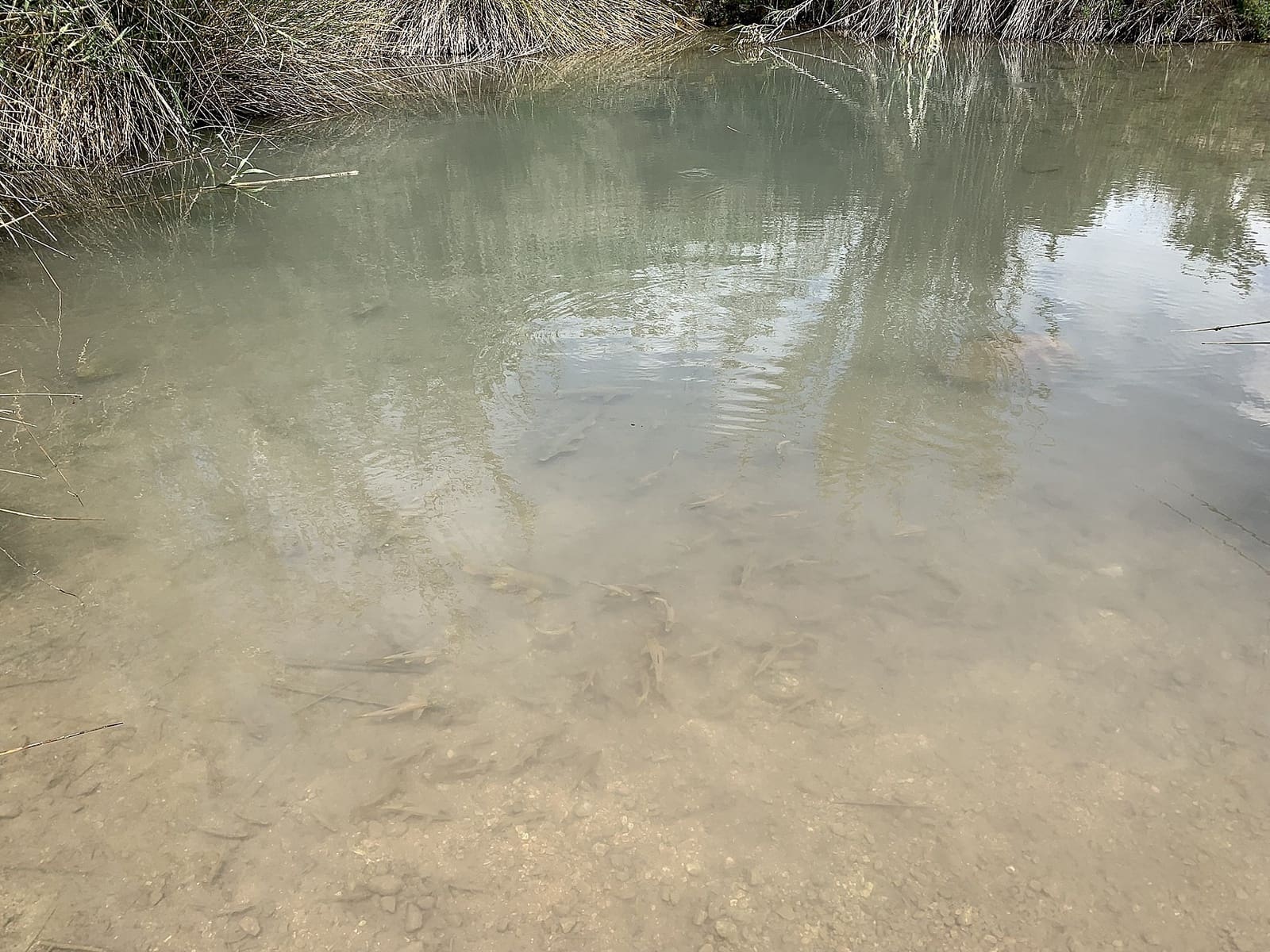 3 bedroom Finca/Country House for sale in Macisvenda - € 29,950 (Ref: 8983684)