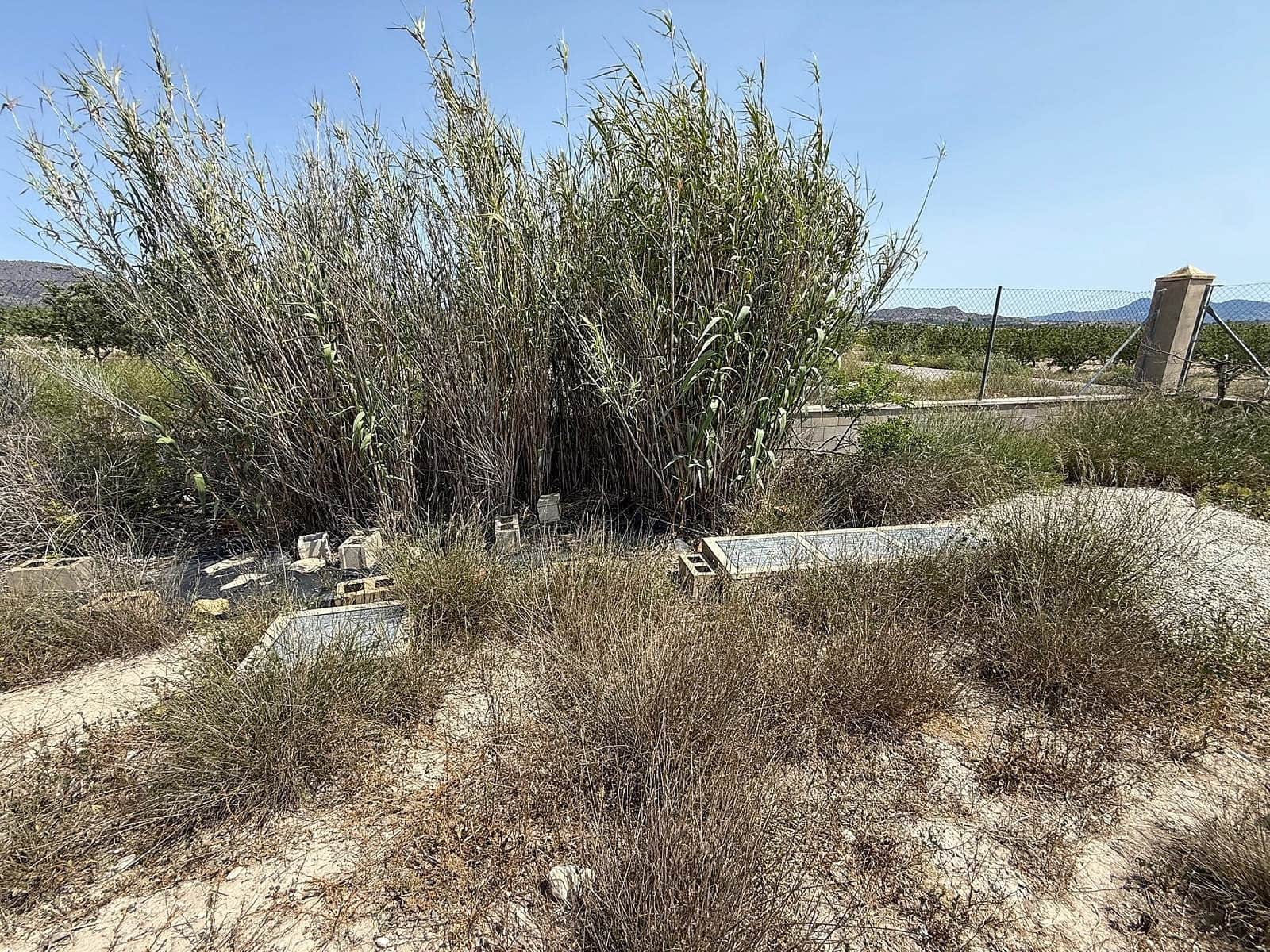 7 slaapkamer Villa te koop in Salinas - € 199.995 (Ref: 9001943)