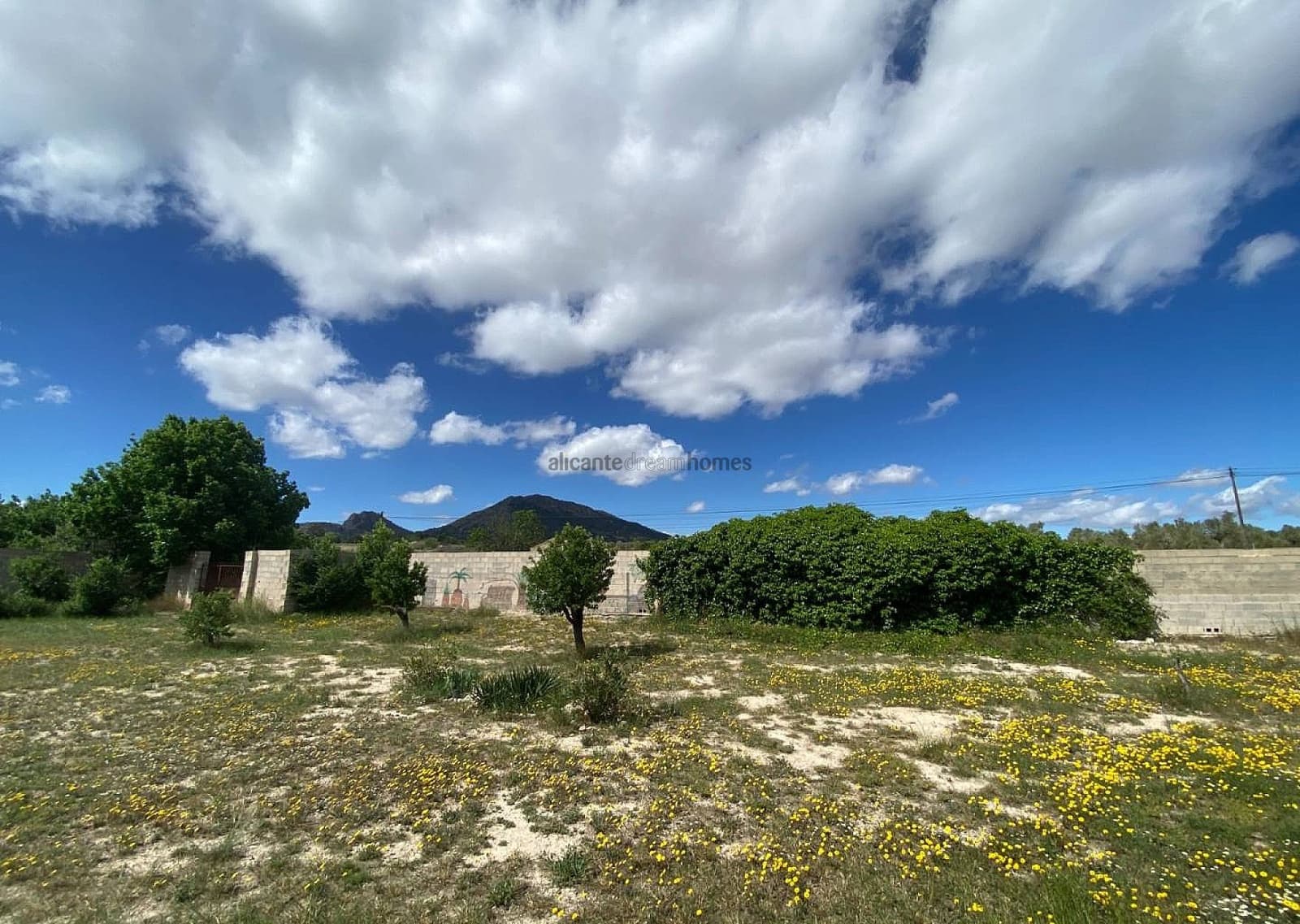 6 Zimmer Finca/Landgut zu verkaufen in Sax mit Pool - 275.000 € (Ref: 9006628)