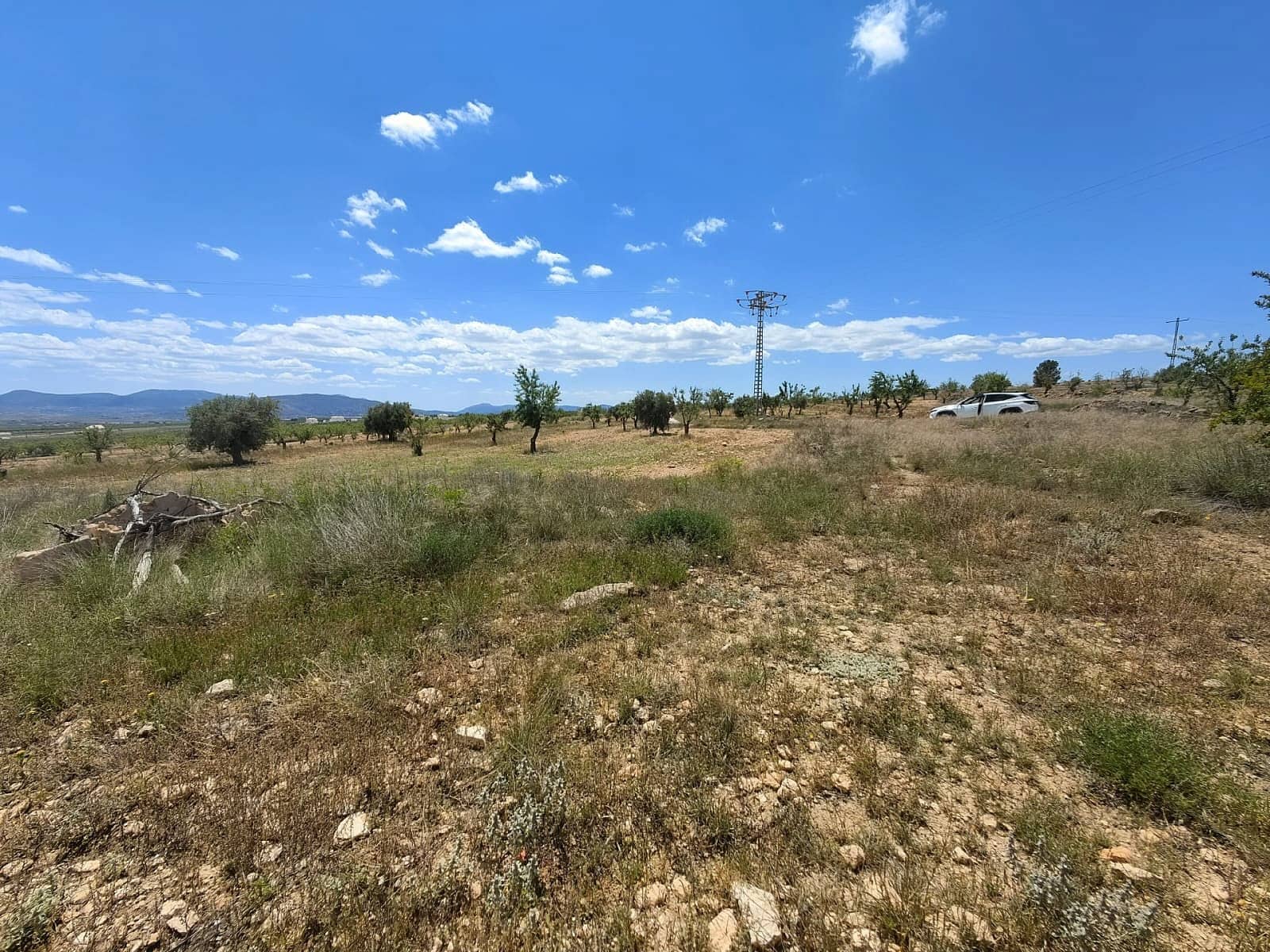 Ruin til salg i Pinoso - € 49.900 (Ref: 9022047)