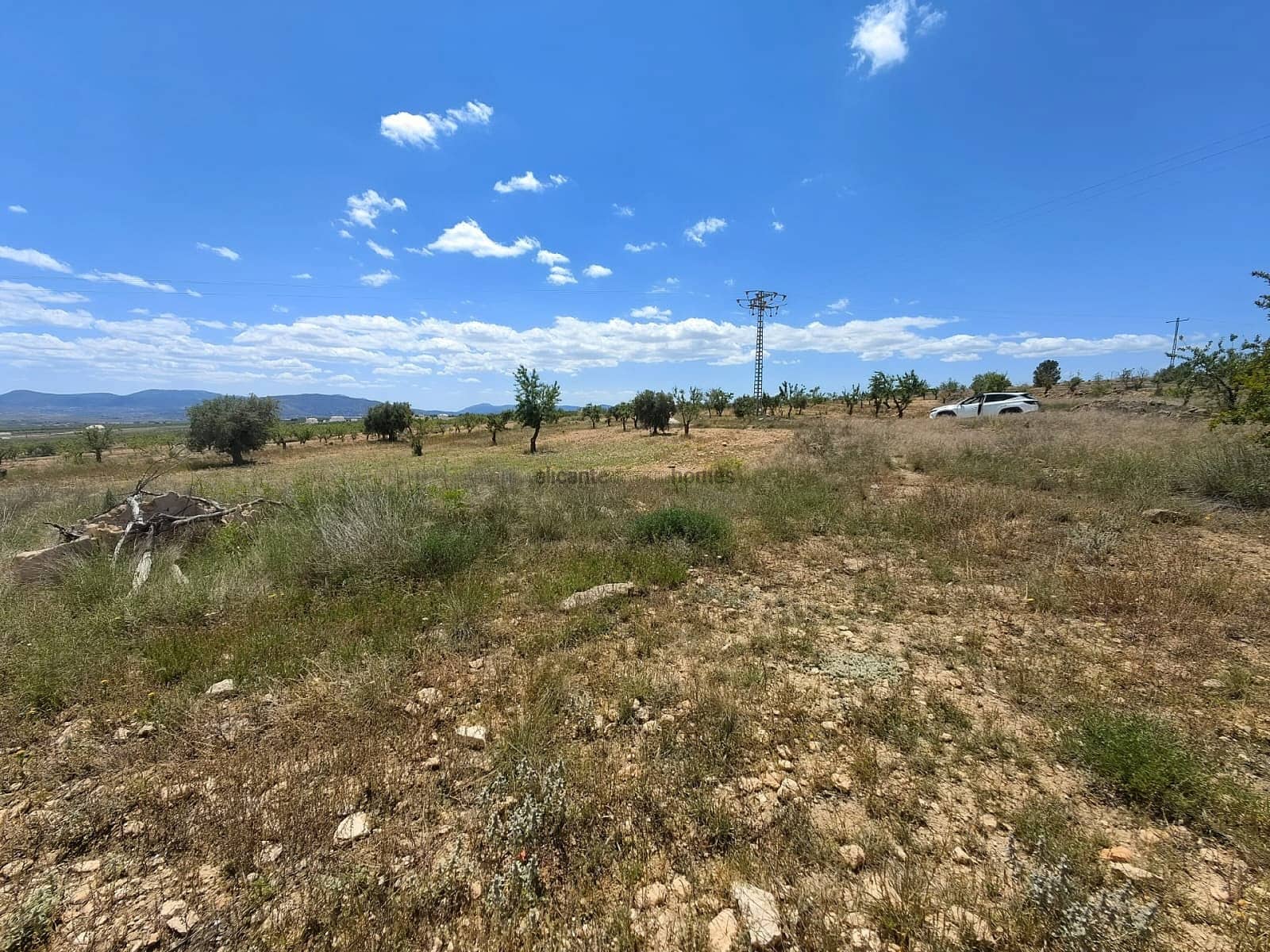 Ruina en Pinoso en venta - 49.900 € (Ref: 9022047)