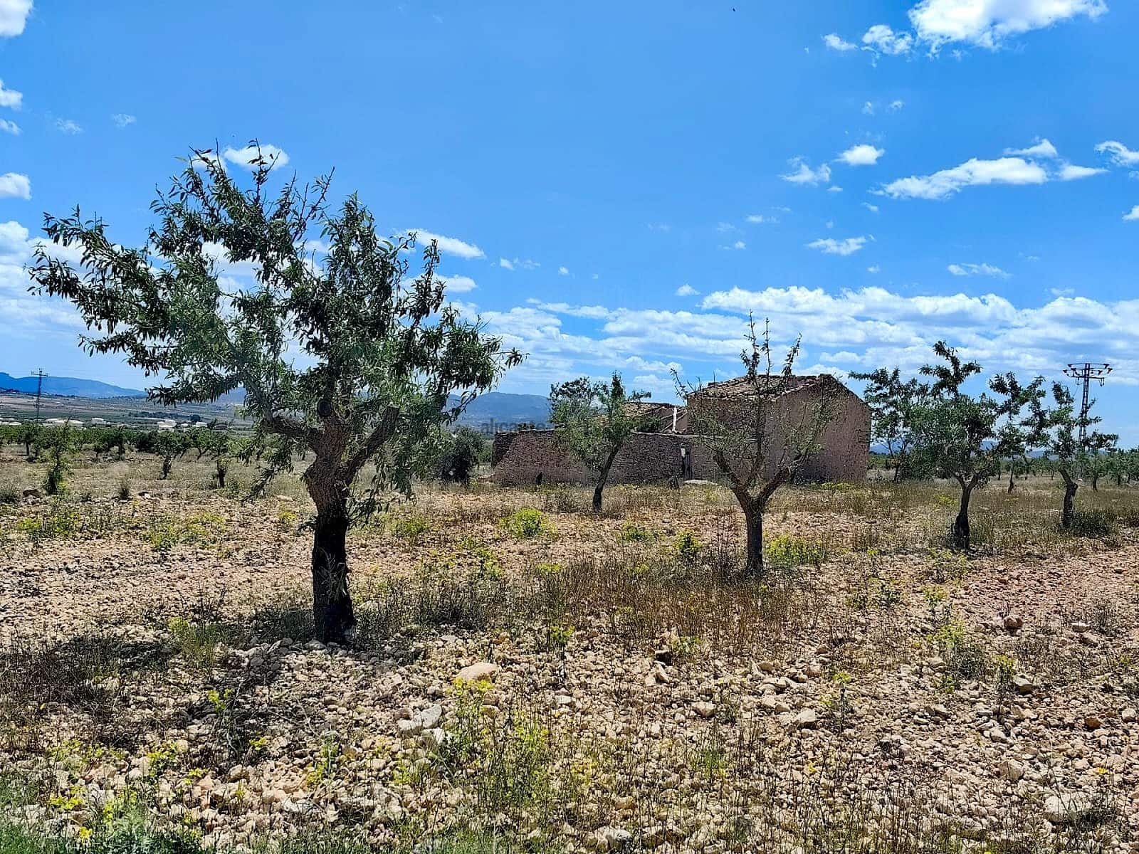 Ruina en Pinoso en venta - 49.900 € (Ref: 9022047)