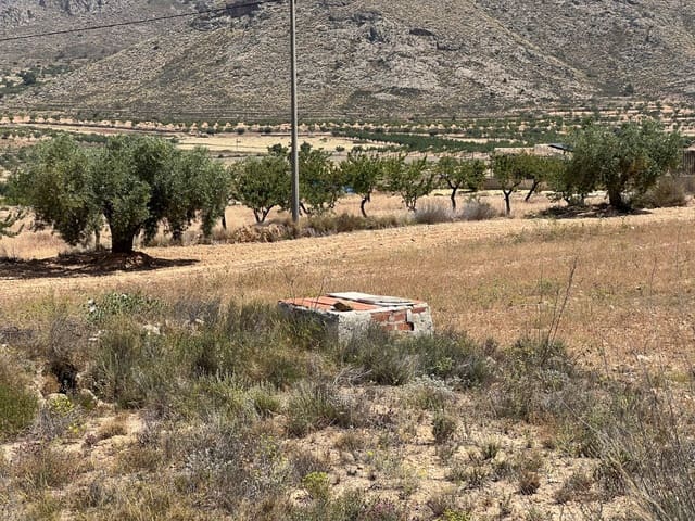 Mark till salu i Barbarroja, Orihuela - 65 000 € (Ref: 9050840)