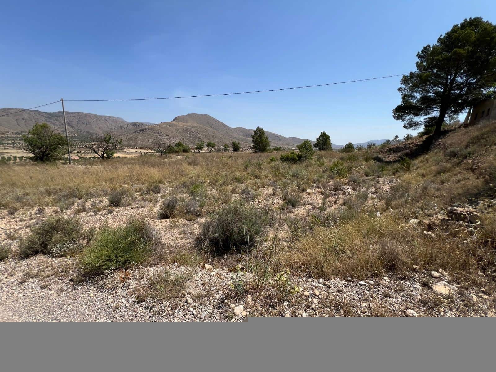 Mark till salu i Barbarroja - 65 000 € (Ref: 9050840)