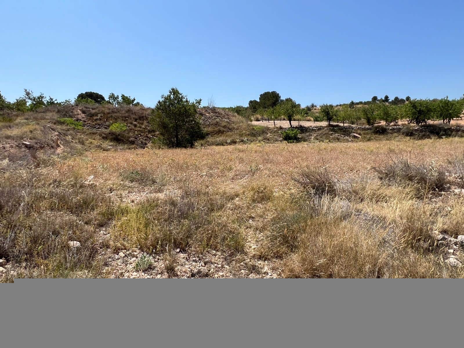 Mark till salu i Barbarroja - 65 000 € (Ref: 9050840)