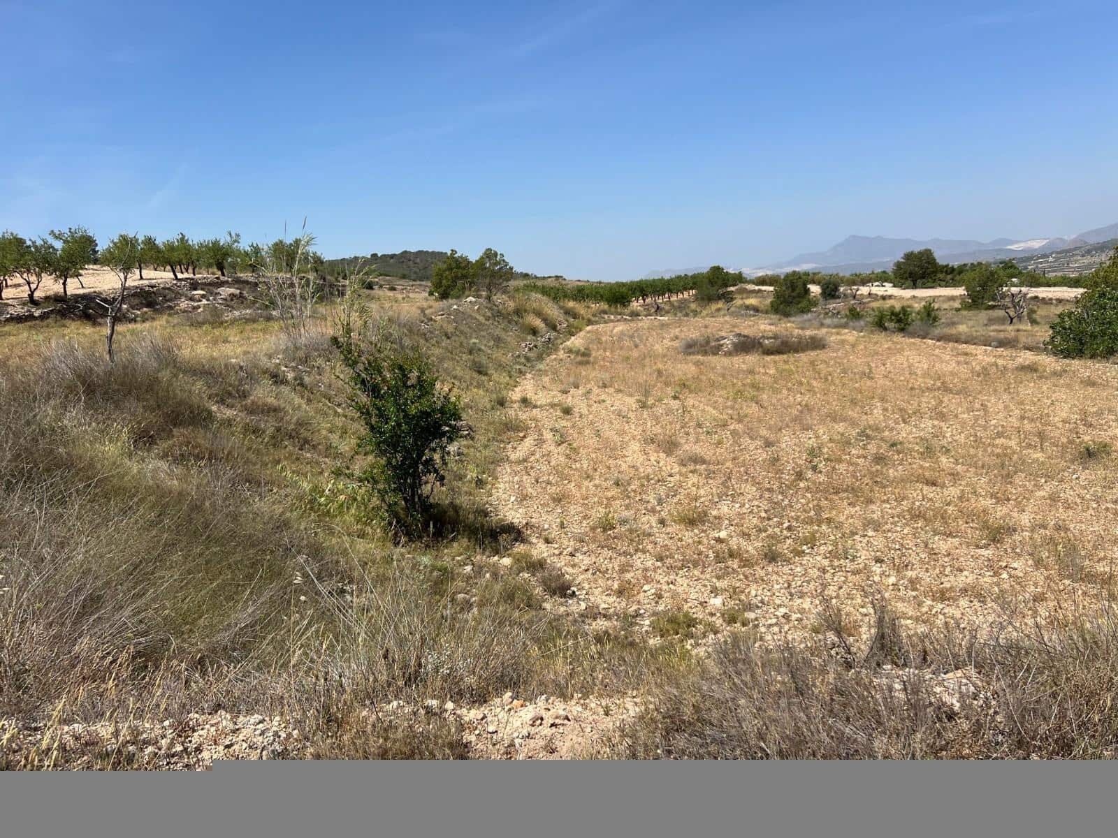 Mark till salu i Barbarroja - 65 000 € (Ref: 9050840)