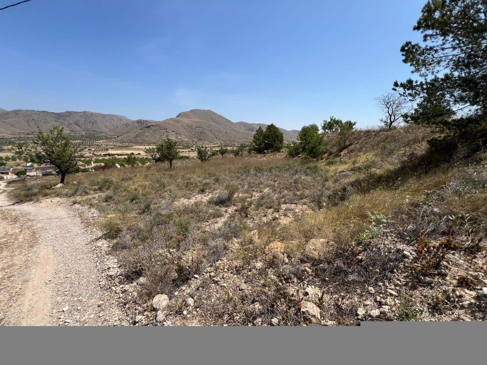 Mark till salu i Barbarroja - 65 000 € (Ref: 9050840)