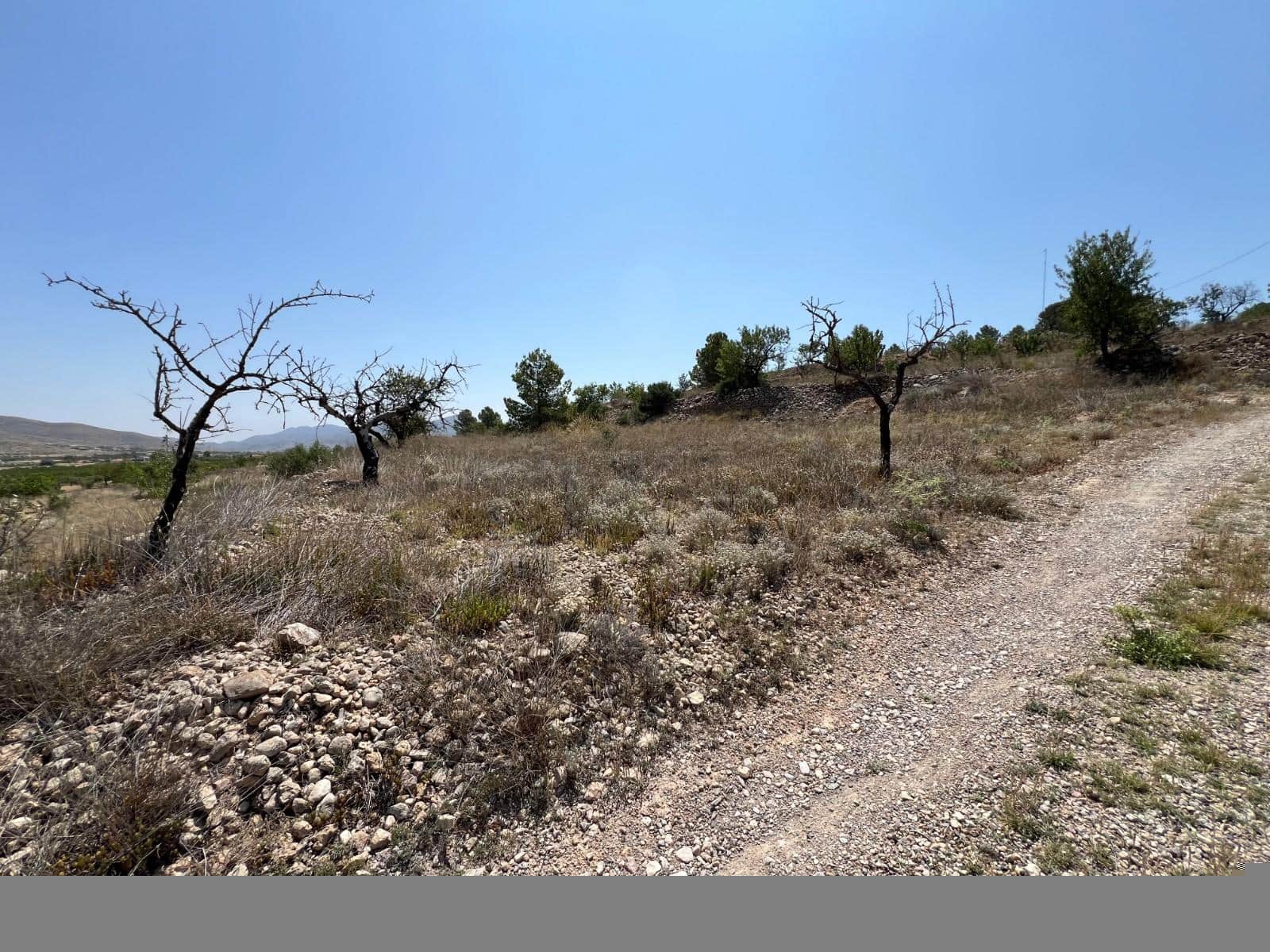 Mark till salu i Barbarroja - 65 000 € (Ref: 9050840)