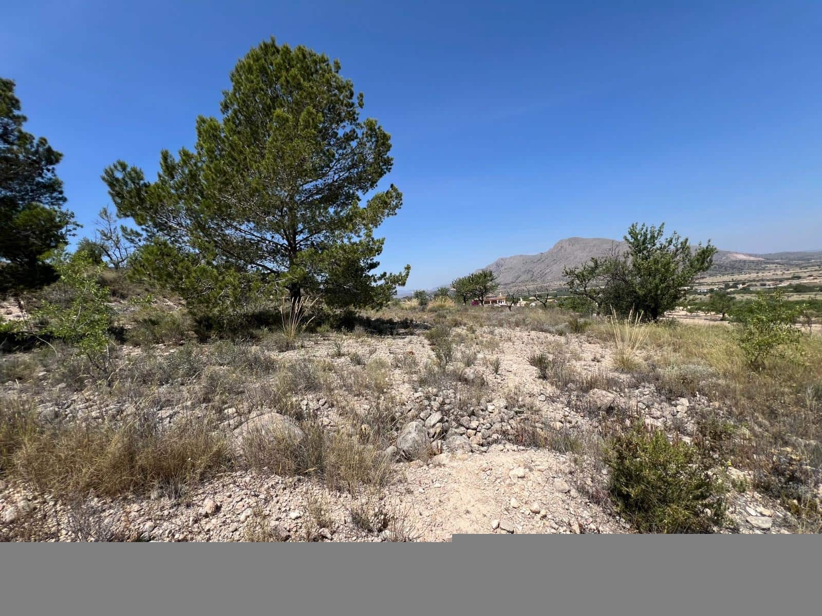 Mark till salu i Barbarroja - 65 000 € (Ref: 9050840)