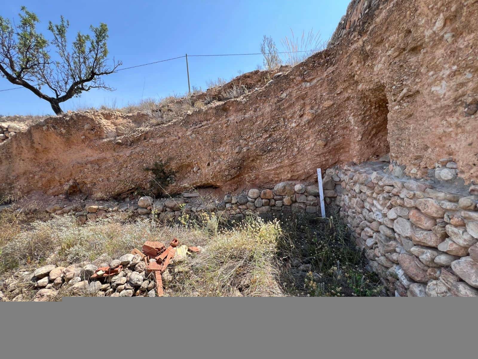 Mark till salu i Barbarroja - 65 000 € (Ref: 9050840)