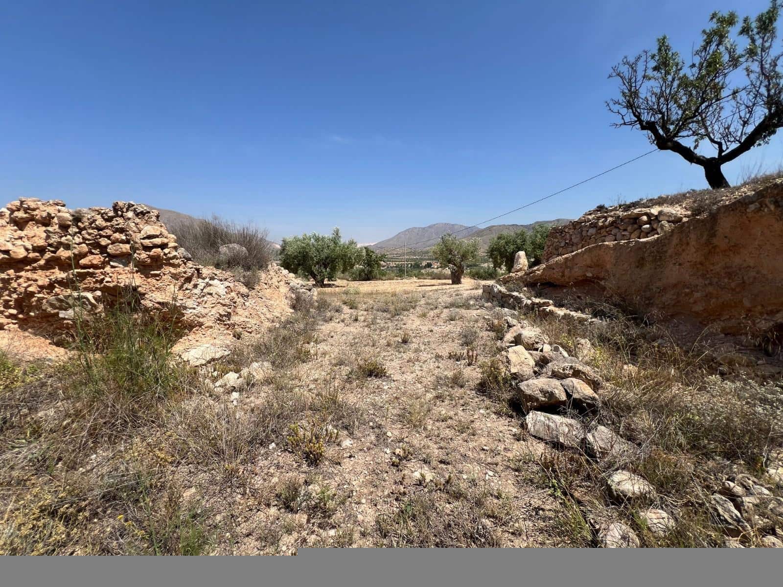 Mark till salu i Barbarroja - 65 000 € (Ref: 9050840)