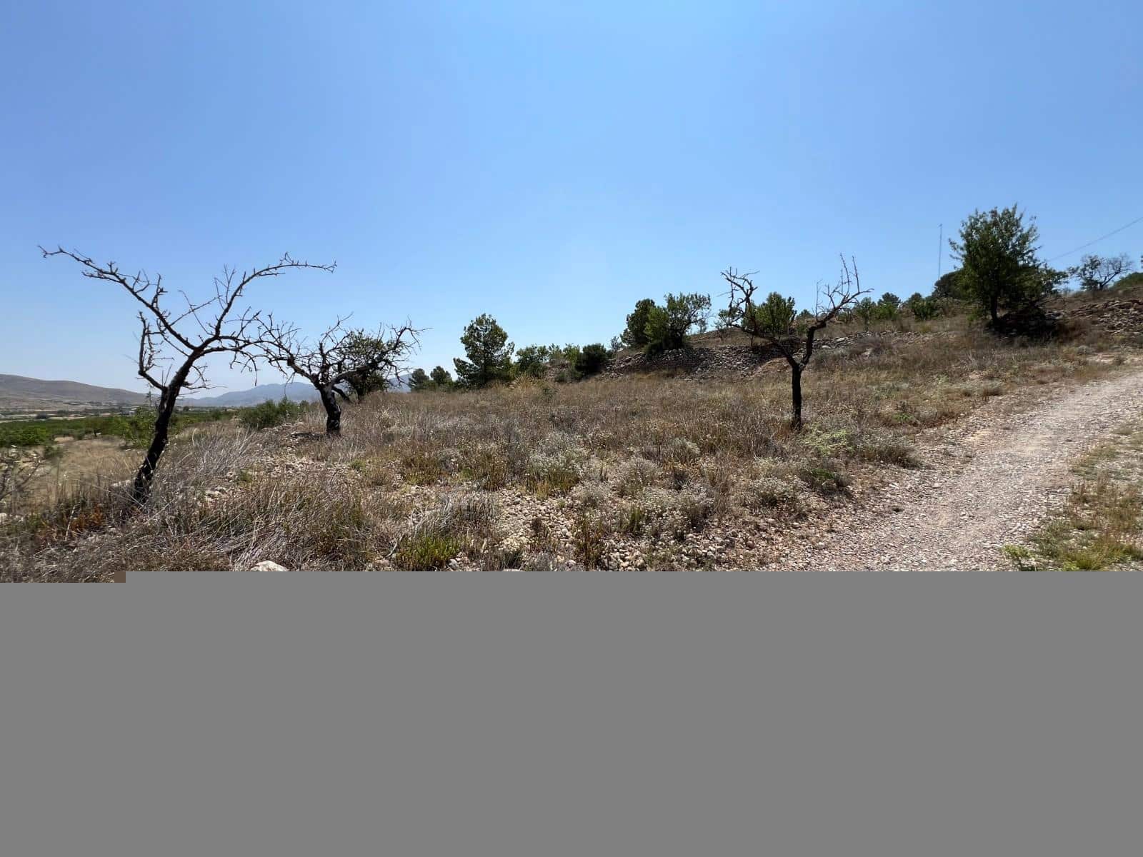 Grunde uden byggetilladelser til salg i Barbarroja - € 50.000 (Ref: 9050841)