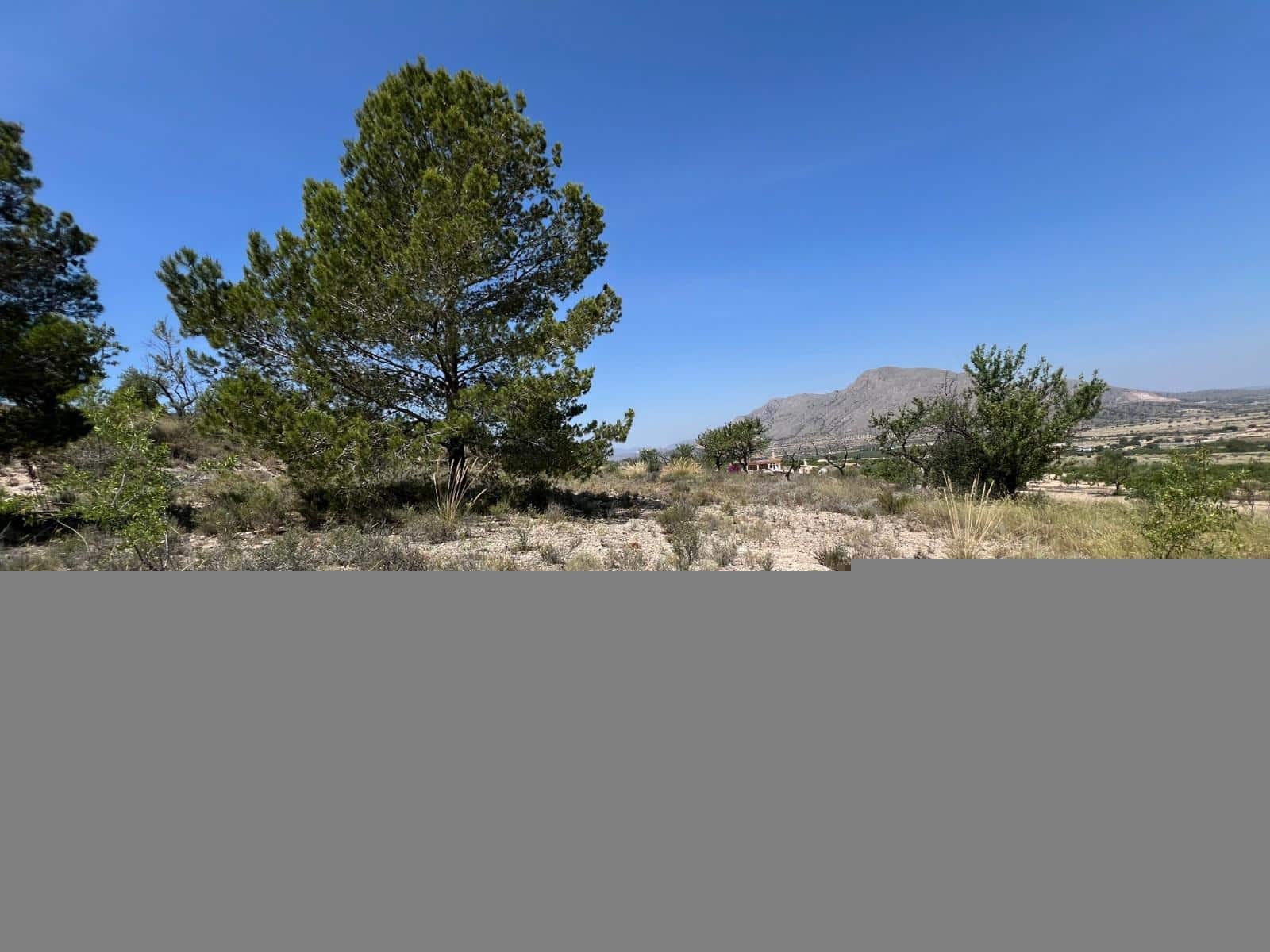 Grunde uden byggetilladelser til salg i Barbarroja - € 50.000 (Ref: 9050841)