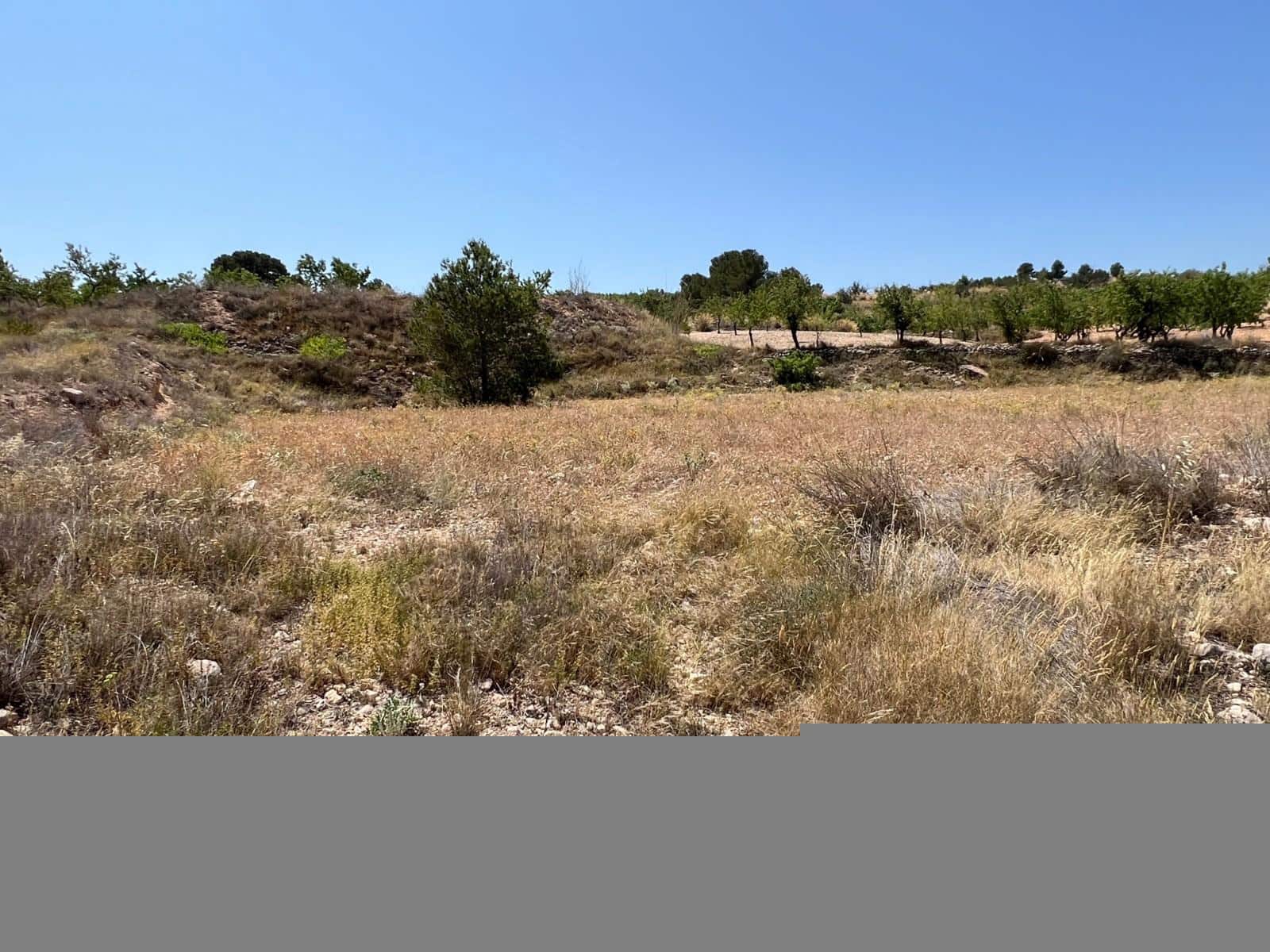 Grunde uden byggetilladelser til salg i Barbarroja - € 50.000 (Ref: 9050841)