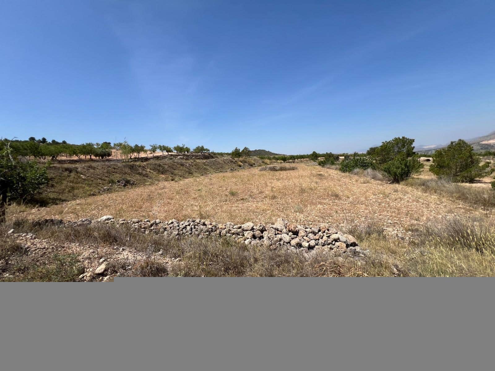 Grunde uden byggetilladelser til salg i Barbarroja - € 50.000 (Ref: 9050841)