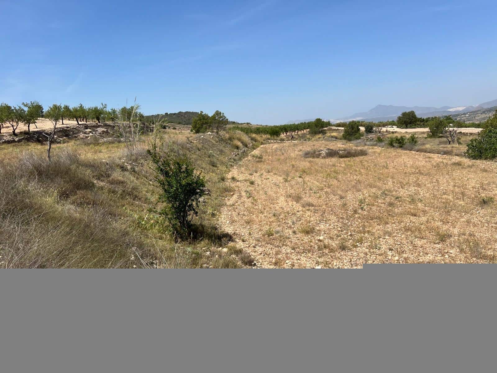 Grunde uden byggetilladelser til salg i Barbarroja - € 50.000 (Ref: 9050841)