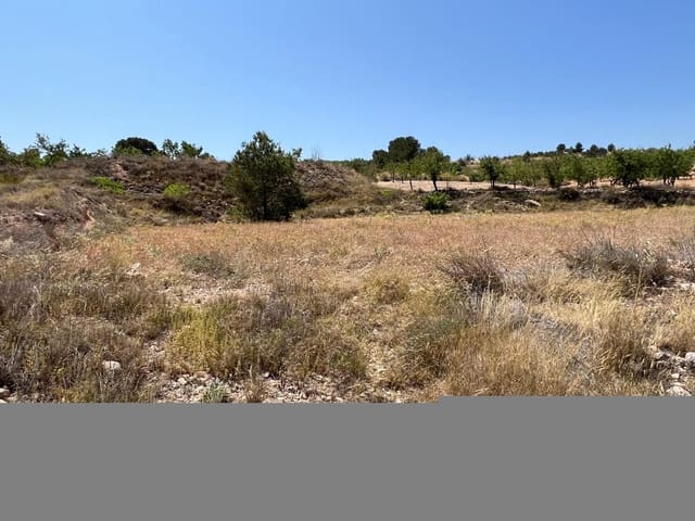 Mark till salu i Barbarroja, Orihuela - 50 000 € (Ref: 9050841)