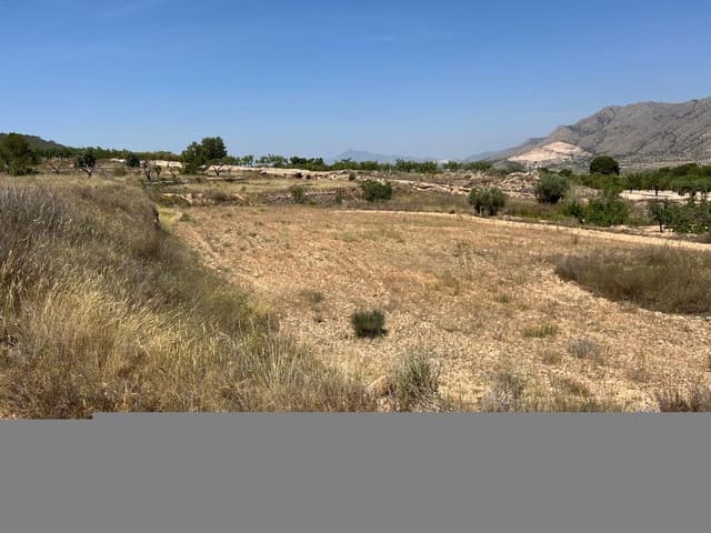 Mark till salu i Barbarroja, Orihuela - 50 000 € (Ref: 9050841)