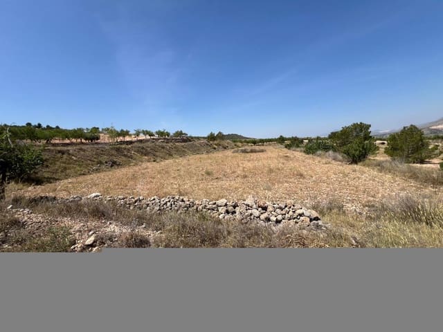 Mark till salu i Barbarroja, Orihuela - 50 000 € (Ref: 9050841)