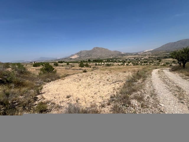 Mark till salu i Barbarroja, Orihuela - 50 000 € (Ref: 9050841)