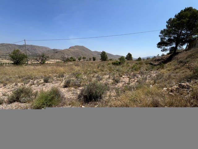 Mark till salu i Barbarroja, Orihuela - 50 000 € (Ref: 9050841)